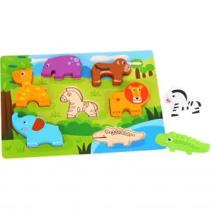 Chunky Puzzle Tooky Toy