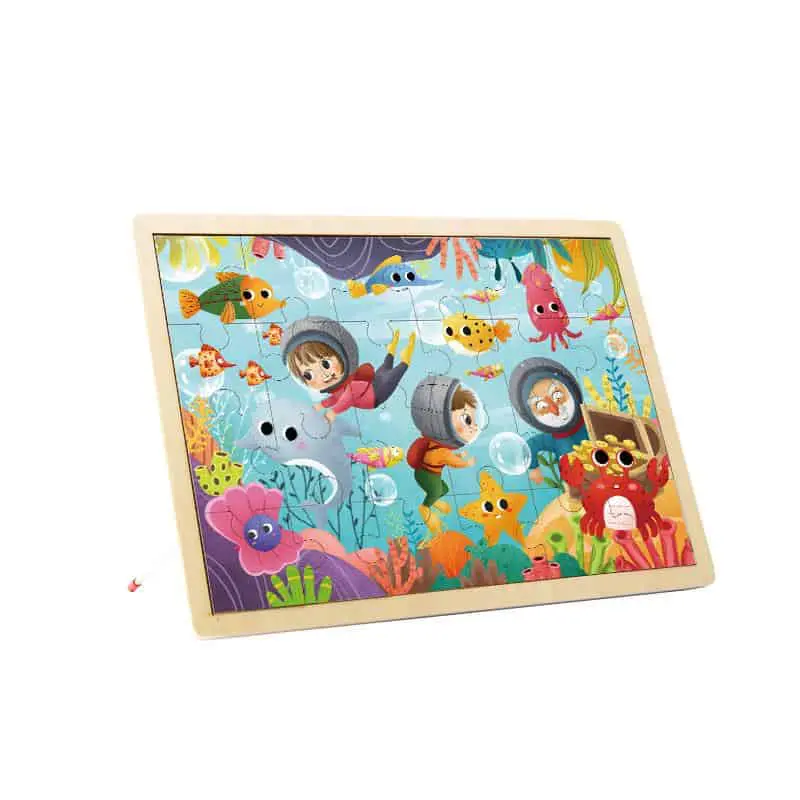 High-Quality Wooden Puzzle Tooky Toy