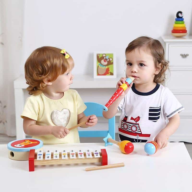 Musical Instrument Set Tooky Toy