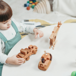 The Astonishing Health Benefits of Playing with Wooden Toys!