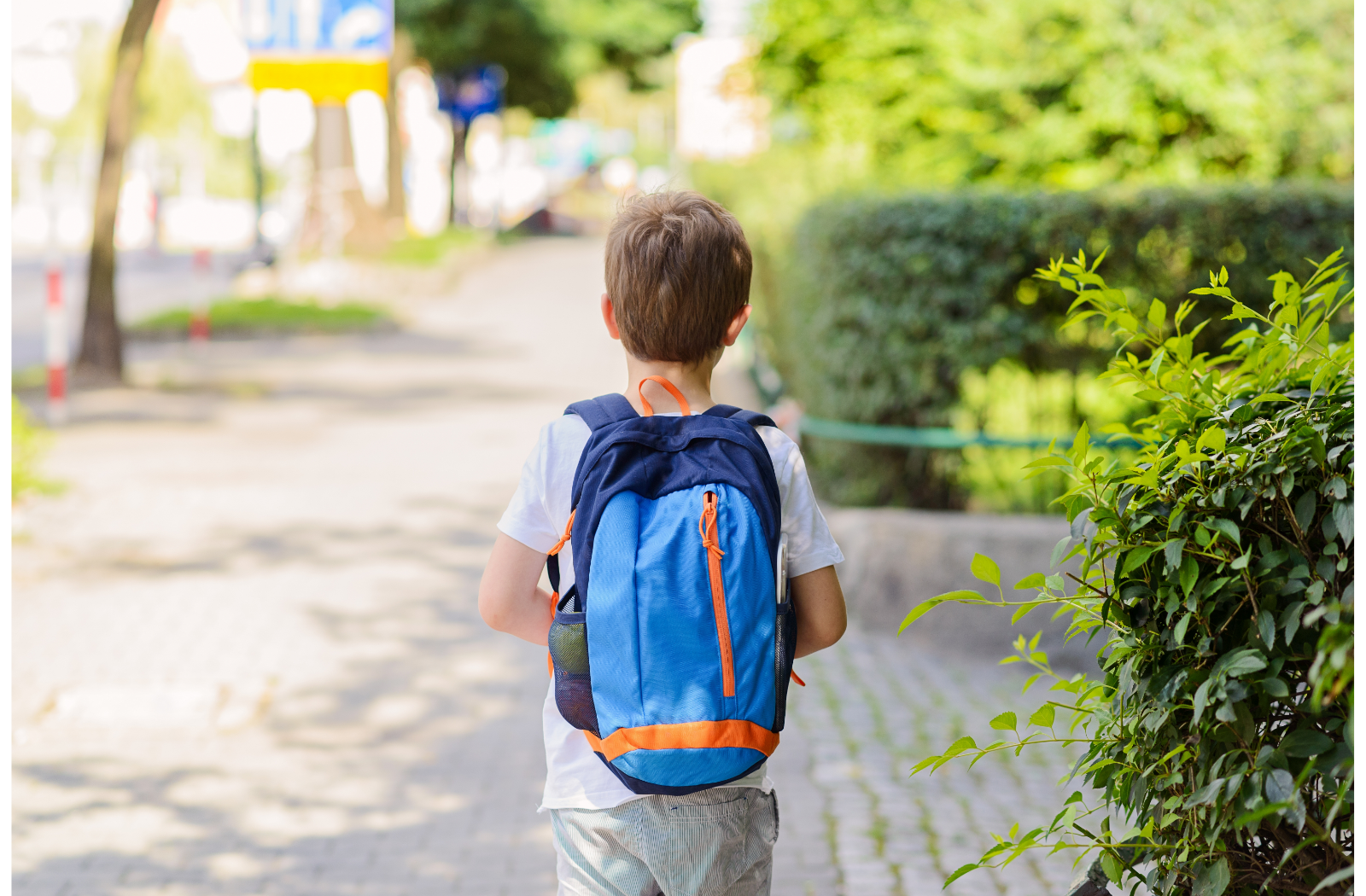 Ergonomic School Bag Singapore