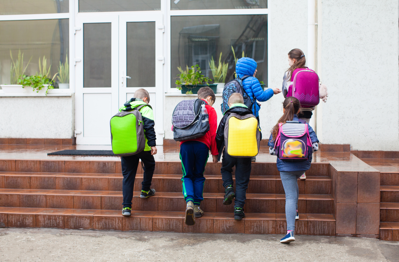 Ergonomic School Bag In Singapore