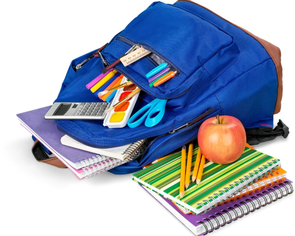 Why are Ergonomic School Bags in Singapore the Smart Choice for Your Kids?